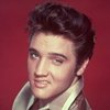 FOX busca al perfecto Elvis