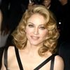 Madonna y su hijo, por 'la libertad de expresión '