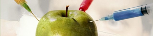 España , último bastión de transgénicos en Europa