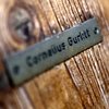 El Congreso Central de Judíos está en contra de devolver parte del 'tesoro de Múnich a Cornelius Gurlitt'