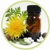 Mayor formación e investigación para potenciar la Homeopatía