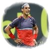Nadal si, Ferrer, Verdasco y Murray no