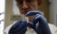 Las vacunas contra el ébola, a segunda fase de ensayo clínico