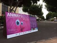 ANIMAYO triunfa en 2015