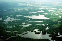 Hemos destruido el 64% de los humedales en 115 años