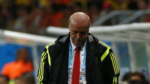 Vicente del Bosque resume el 2014