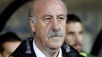 Vicente del Bosque resume el 2014