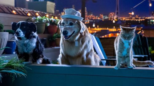 Como perros y gatos: La patrulla unida