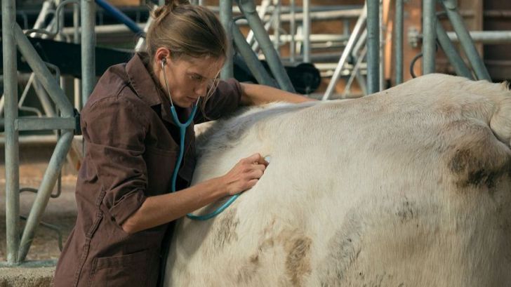 Una veterinaria en la Borgoña