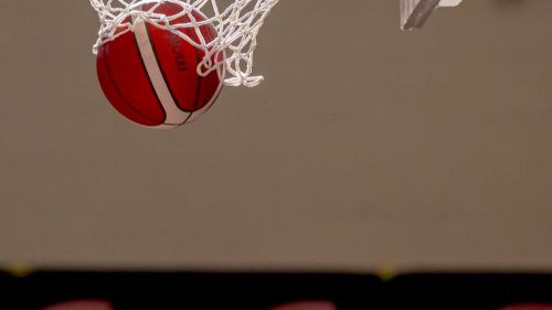 El número de licencias de baloncesto sube más del 9% y se sitúa en su máximo histórico