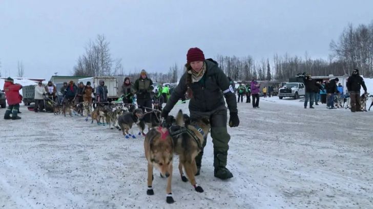 Lauro debuta en la exigente carrera de trineos Iditarod