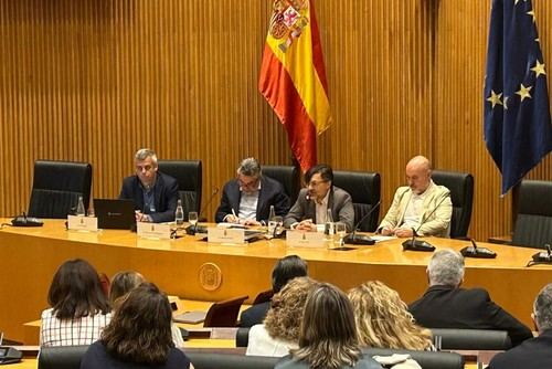 Presentan en el Congreso un decálogo para fomentar el deporte inclusivo